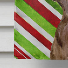 Load image into Gallery viewer, Field Spaniel Candy Cane Holiday Christmas Flag Canvas House Size
