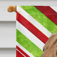 Load image into Gallery viewer, Chesapeake Bay Retriever Candy Cane Holiday Christmas Flag Canvas House Size