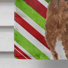 Load image into Gallery viewer, Chesapeake Bay Retriever Candy Cane Holiday Christmas Flag Canvas House Size