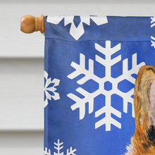 Load image into Gallery viewer, Collie Smooth Winter Snowflakes Holiday Flag Canvas House Size
