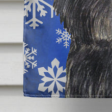 Load image into Gallery viewer, Affenpinscher Winter Snowflakes Holiday Flag Canvas House Size