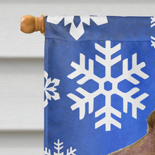 Load image into Gallery viewer, Field Spaniel Winter Snowflakes Holiday Flag Canvas House Size