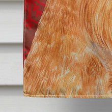 Load image into Gallery viewer, Brussels Griffon Red Green Snowflakes Holiday Christmas Flag Canvas House Size