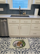 Load image into Gallery viewer, English Bulldog Machine Washable Memory Foam Mat SS8023RUG