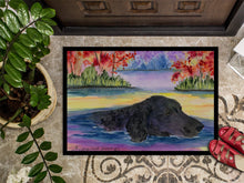 Load image into Gallery viewer, Curly Coated Retriever Doormat - 24x36 Decorative Floor Mat – Indoor/Outdoor Rug with Artistic Flair Doormat