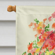 Load image into Gallery viewer, Schipperke Flag Canvas House Size