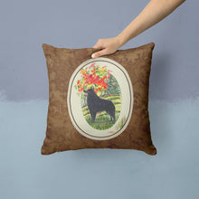 Load image into Gallery viewer, Schipperke Throw Pillow - 14x14 Decorative Pillow – Art for Your Home &amp; Patio SS8058PW1414