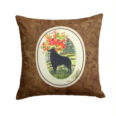 Schipperke Throw Pillow - 14x14 Decorative Pillow – Art for Your Home & Patio SS8058PW1414