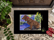 Load image into Gallery viewer, Boykin Spaniel Doormat - 24x36 Decorative Floor Mat – Indoor/Outdoor Rug with Artistic Flair Doormat
