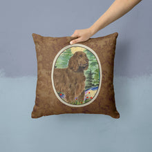 Load image into Gallery viewer, Field Spaniel Throw Pillow - 14x14 Decorative Pillow – Art for Your Home &amp; Patio
