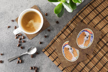 Load image into Gallery viewer, Cavalier Spaniel Coasters - Set of 4 Lightweight Foam, Absorbent Drink Coasters