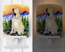 Load image into Gallery viewer, Brazilian Mastiff  / Fila Brasileiro Ceramic Night Light SS8169CNL