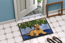 Load image into Gallery viewer, Briard Doormat - 24x36 Decorative Floor Mat – Indoor/Outdoor Rug with Artistic Flair Doormat