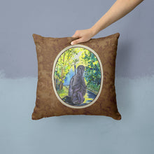 Load image into Gallery viewer, Afghan Hound Throw Pillow - 14x14 Decorative Pillow – Art for Your Home &amp; Patio