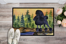 Load image into Gallery viewer, Poodle Doormat - 24x36 Decorative Floor Mat – Indoor/Outdoor Rug with Artistic Flair Doormat