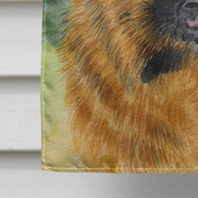 Load image into Gallery viewer, Leonberger Flag Canvas House Size