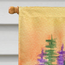 Load image into Gallery viewer, Silky Terrier Flag Canvas House Size