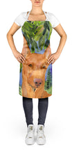 Load image into Gallery viewer, Pharaoh Hound Apron – Artist-Designed Kitchen, BBQ &amp; Craft Apron