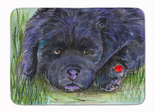 Load image into Gallery viewer, Newfoundland Machine Washable Memory Foam Mat SS8272RUG