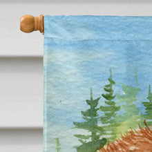 Load image into Gallery viewer, Australian Shepherd Flag Canvas House Size