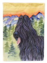 Load image into Gallery viewer, Briard Flag Canvas House Size