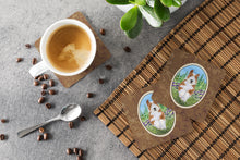 Load image into Gallery viewer, Bearded Collie Coasters - Set of 4 Lightweight Foam, Absorbent Drink Coasters