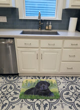 Load image into Gallery viewer, Labrador Machine Washable Memory Foam Mat SS8343RUG