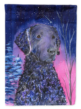 Load image into Gallery viewer, Starry Night Curly Coated Retriever Flag Canvas House Size