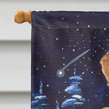 Load image into Gallery viewer, Starry Night Chesapeake Bay Retriever Flag Canvas House Size