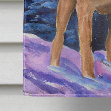 Load image into Gallery viewer, Starry Night Chesapeake Bay Retriever Flag Canvas House Size