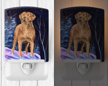 Load image into Gallery viewer, Starry Night Chesapeake Bay Retriever Ceramic Night Light SS8355CNL