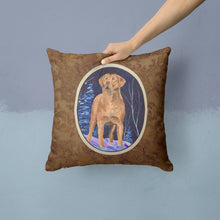 Load image into Gallery viewer, Starry Night Chesapeake Bay Retriever Throw Pillow - 14x14 Decorative Pillow – Art for Your Home &amp; Patio