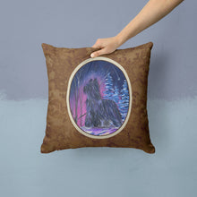 Load image into Gallery viewer, Starry Night Briard Throw Pillow - 14x14 Decorative Pillow – Art for Your Home &amp; Patio