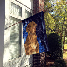 Load image into Gallery viewer, Starry Night Chesapeake Bay Retriever Flag Canvas House Size