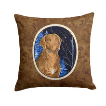 Load image into Gallery viewer, Starry Night Chesapeake Bay Retriever Throw Pillow - 14x14 Decorative Pillow – Art for Your Home &amp; Patio