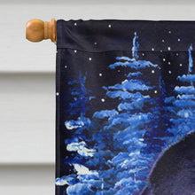 Load image into Gallery viewer, Starry Night Cocker Spaniel Flag Canvas House Size
