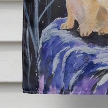 Load image into Gallery viewer, Starry Night French Bulldog Flag Canvas House Size