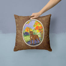 Load image into Gallery viewer, Chesapeake Bay Retriever Throw Pillow - 14x14 Decorative Pillow – Art for Your Home &amp; Patio