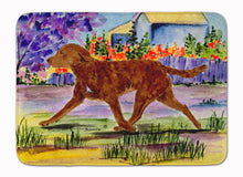 Load image into Gallery viewer, Chesapeake Bay Retriever Machine Washable Memory Foam Mat SS8435RUG