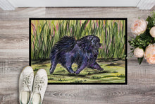 Load image into Gallery viewer, Pomeranian Doormat - 24x36 Decorative Floor Mat – Indoor/Outdoor Rug with Artistic Flair Doormat