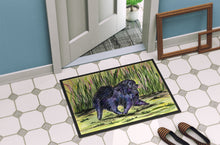 Load image into Gallery viewer, Pomeranian Doormat - 24x36 Decorative Floor Mat – Indoor/Outdoor Rug with Artistic Flair Doormat