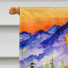 Load image into Gallery viewer, Chesapeake Bay Retriever Flag Canvas House Size