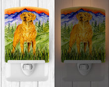 Load image into Gallery viewer, Chesapeake Bay Retriever Ceramic Night Light SS8449CNL