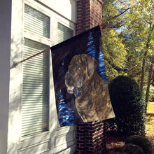 Load image into Gallery viewer, Starry Night Mastiff Flag Canvas House Size