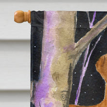 Load image into Gallery viewer, Starry Night Rhodesian Ridgeback Flag Canvas House Size