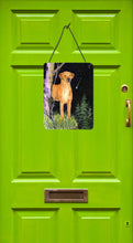 Load image into Gallery viewer, Starry Night Rhodesian Ridgeback Aluminium Metal Wall or Door Hanging Prints