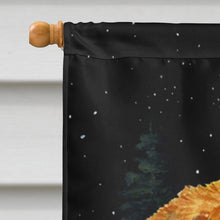 Load image into Gallery viewer, Starry Night Chesapeake Bay Retriever Flag Canvas House Size