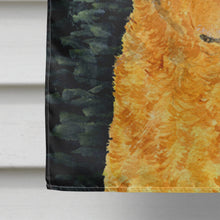 Load image into Gallery viewer, Starry Night Chesapeake Bay Retriever Flag Canvas House Size