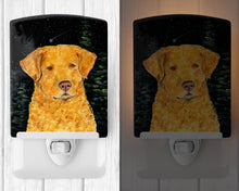 Load image into Gallery viewer, Starry Night Chesapeake Bay Retriever Ceramic Night Light SS8487CNL