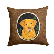 Load image into Gallery viewer, Starry Night Chesapeake Bay Retriever Throw Pillow - 14x14 Decorative Pillow – Art for Your Home &amp; Patio